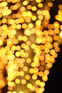PIN-170