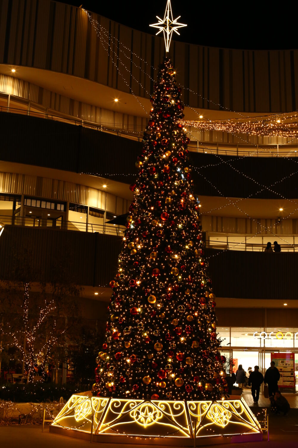 PIN-206